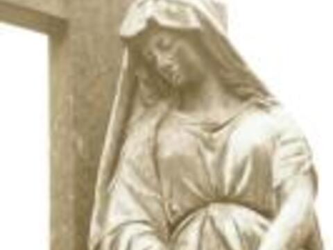 11679321434310500_133335228